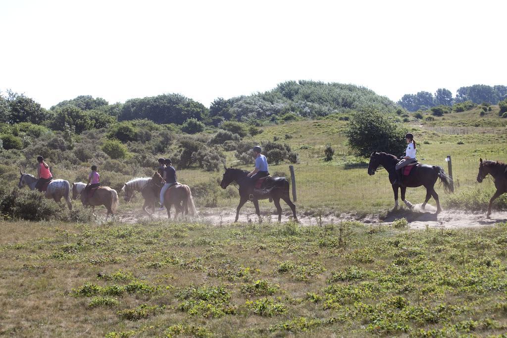 אחמונד-בינן Bungalows - Bungalowpark Mooyeveld - Uniek Gelegen In De Duinen! מראה חיצוני תמונה